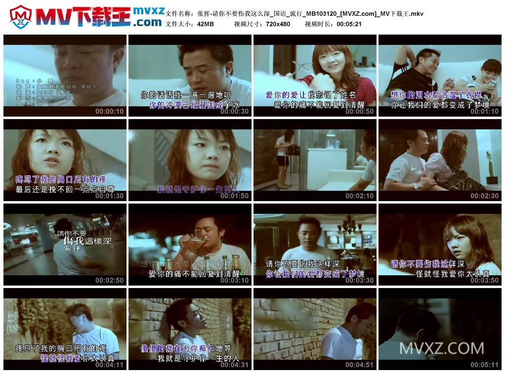 张挥-请你不要伤我这么深_国语_流行_MB103120